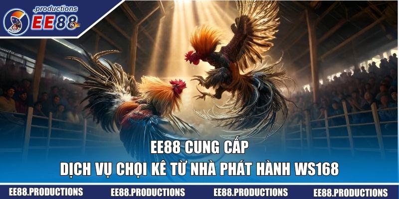 EE88 cung cấp dịch vụ chọi kê từ nhà phát hành Ws168
